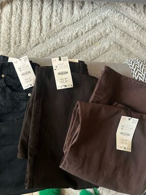 Zara Woman's set Classic High-Rise Pants Trio in Black and Dark Brown